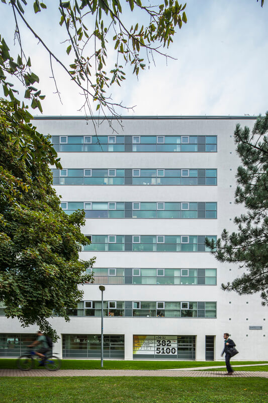 scincepark-5935