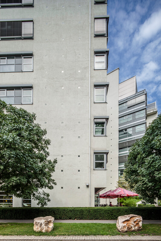 scincepark-6156
