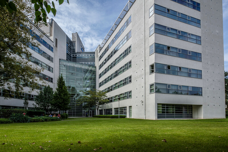 scincepark-6161